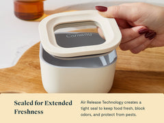 Mini Square Container 4-pack